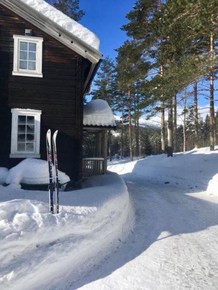 Breiva Gjestegaard Og Glamping Bo (Telemark) Esterno foto